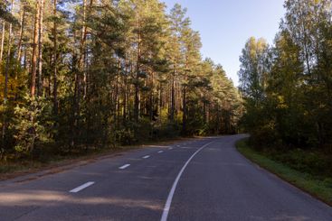 a narrow highway in the forest in the autumn season