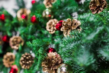 Decorative green pine branches adorned with red...