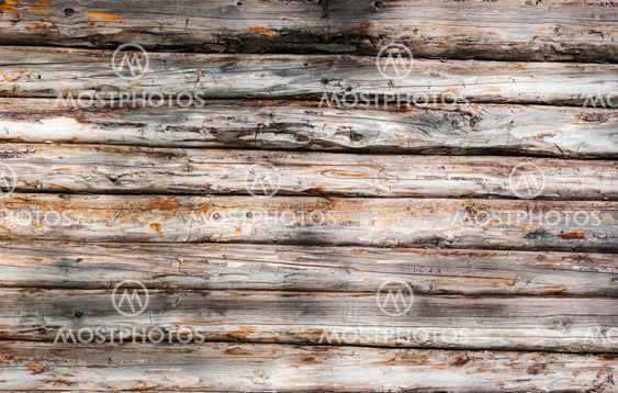 Old wood texture