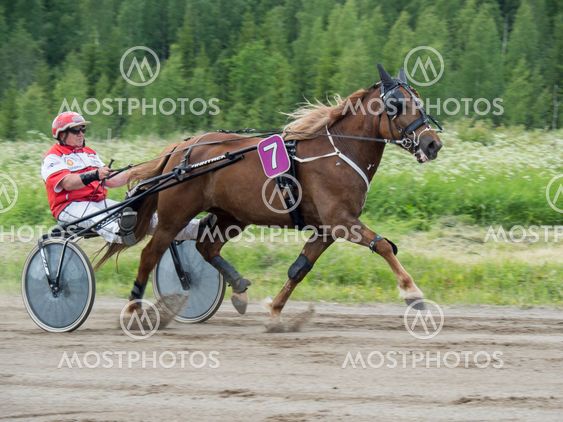 Hevonen