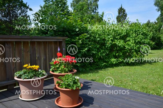 Flowerpots in garden