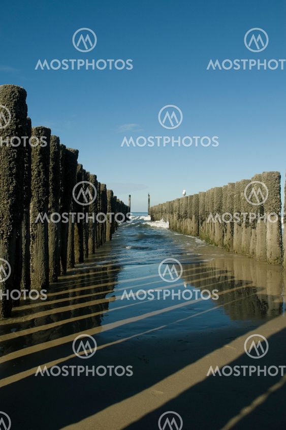wooden poles at the bech