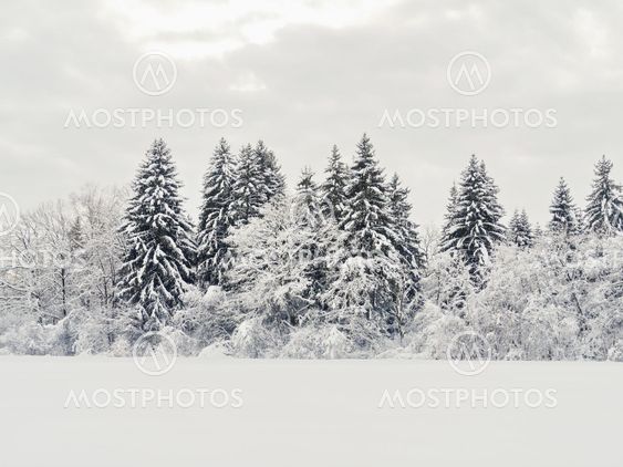 snow landscape winter