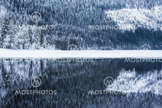 Frosty trees reflected in water, Norway.