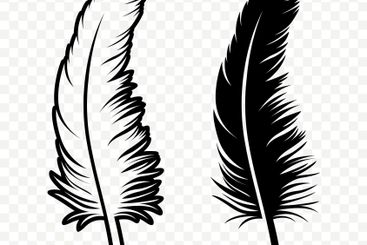 Vector Black and White Fluffy Feather Logo Icons....