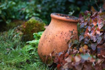Empty pot, garden and grass with flowers for natural...