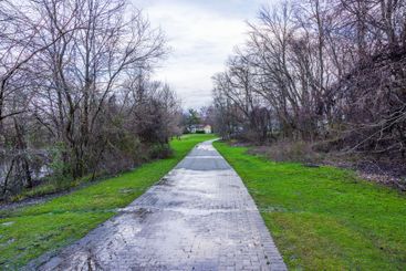 Wet paved path in park during early spring surrounded by