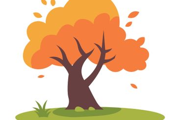 Natural Orange Tree in Forest in Autumn Fall Season