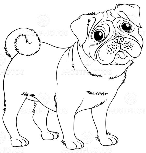 Doodles drafting animal for little dog