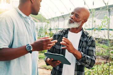 Tablet, black people or farmers in greenhouse for...