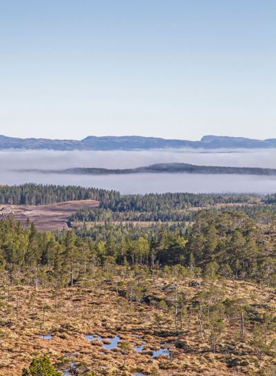 Fjell landscape in the Trondelag