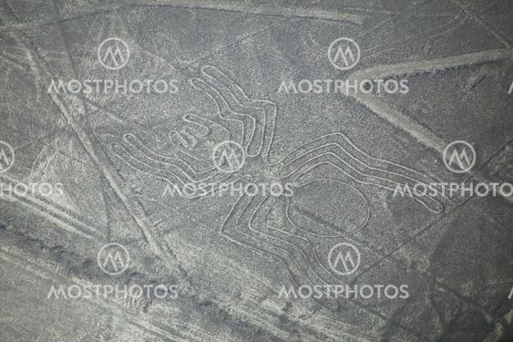 Aerial view of Nazca Lines - Spider geoglyph, Peru.