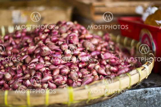 Garlic
