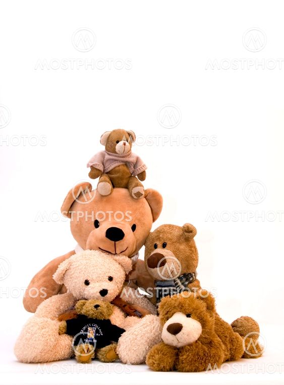 Teddy bear