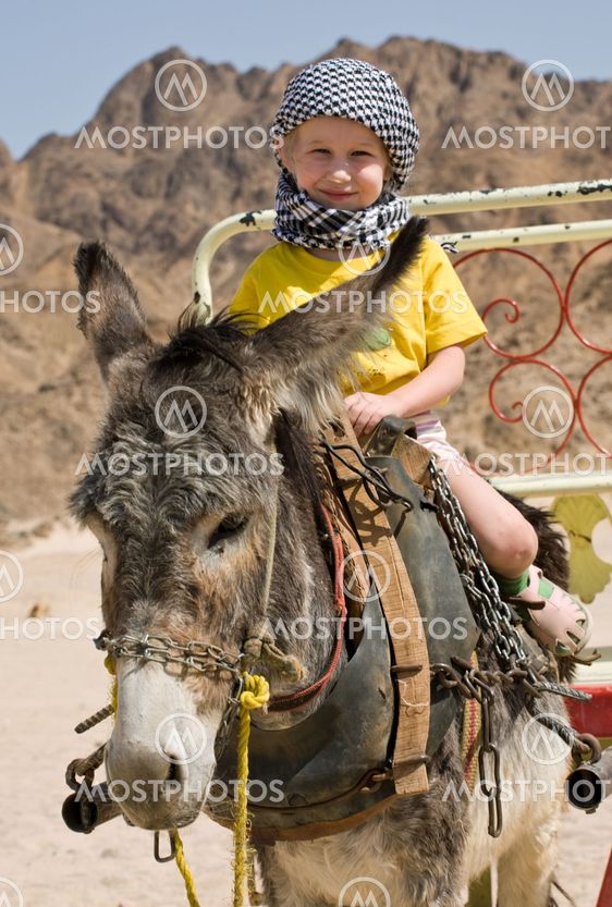Funny Ridning