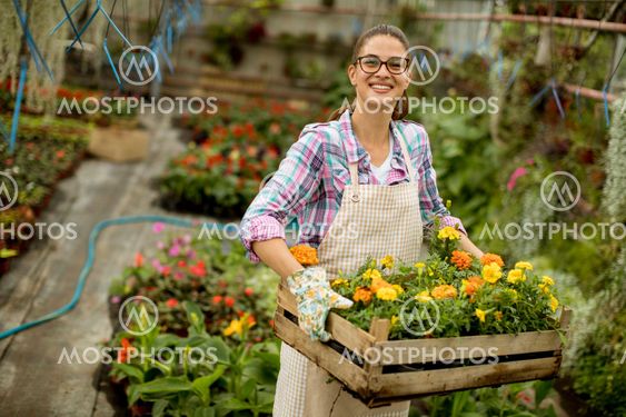 Young woman holding a wooden box full of spring flowers...