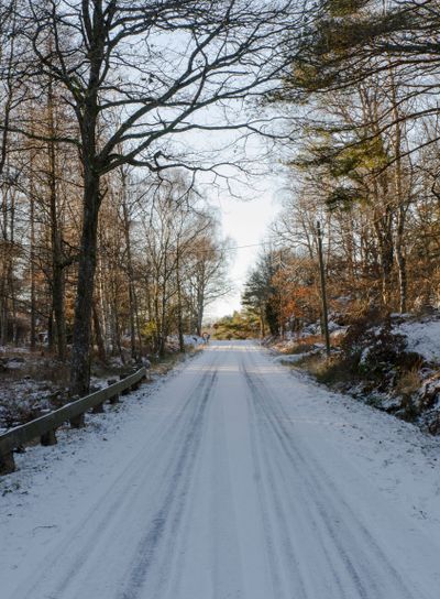 one road in sweden with snow