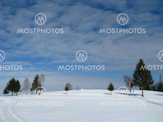 Winter landscape