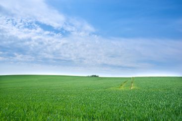 Field, grass and sky with countryside landscape for...