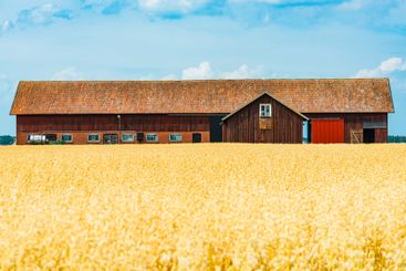 Stunning Swedish countryside featuring a traditional...