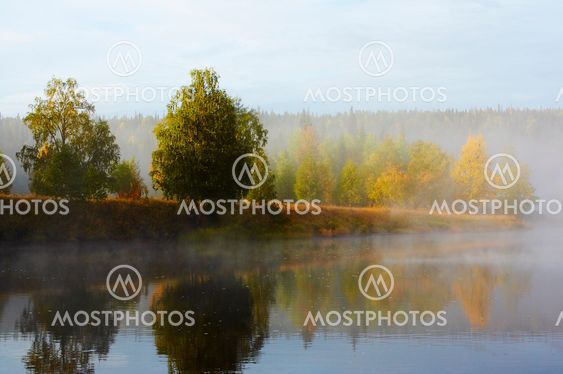 Morning mist