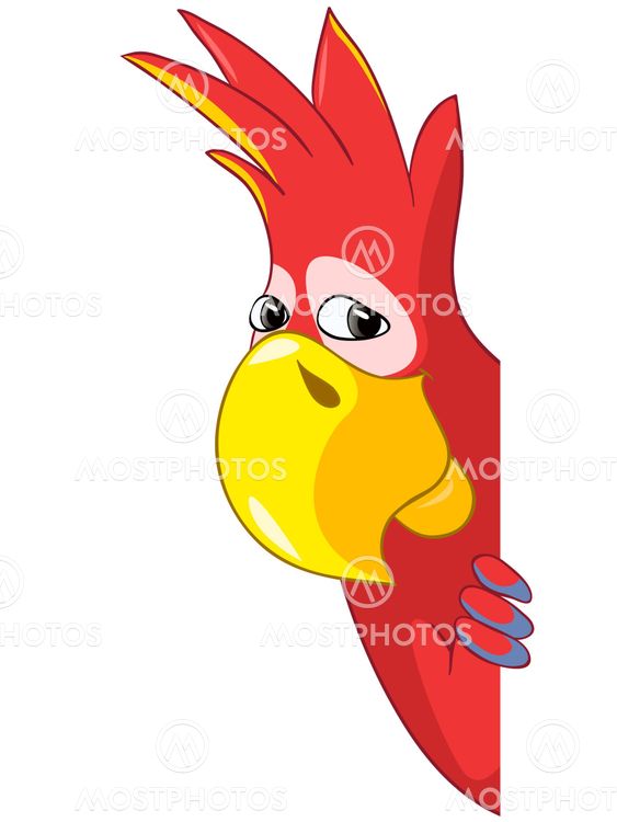 Funny Parrot