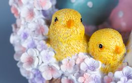 söta påsk kyklingar i korg med rosa blommor