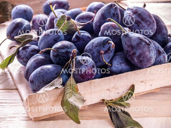 Plums of blue in a box on a wooden background