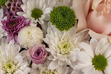 a bouquet of a large number of white flowers for a gift