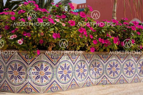 Ceramic tiles and pink flowers