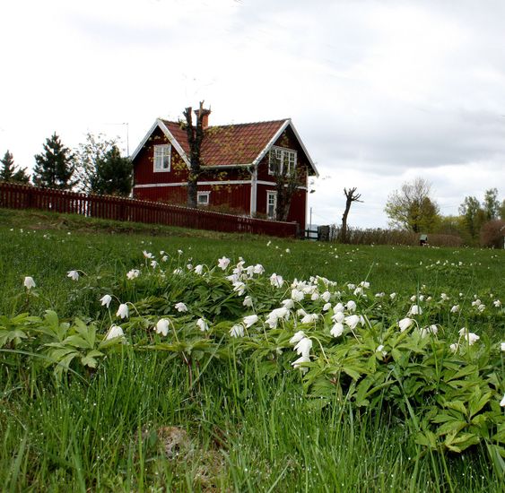 Spring in Dalecarlia Sweden