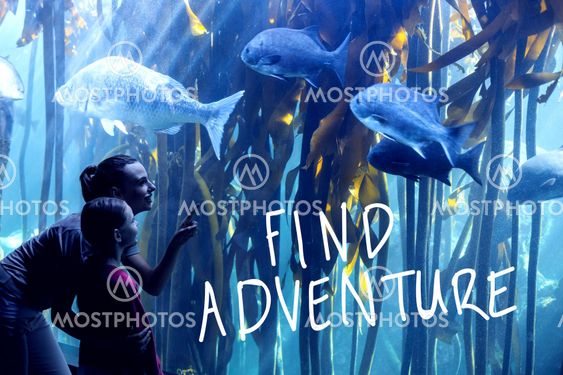 Composite image of find adventure