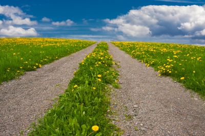 Summer landscape with green grass, road and clouds