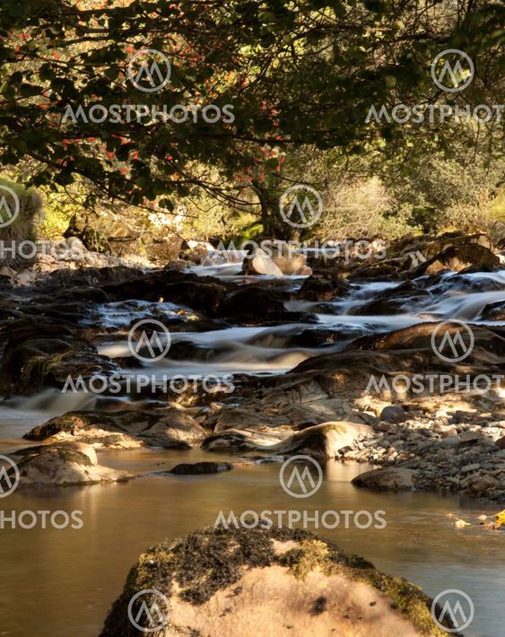 Slow motion water in small river