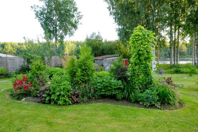 Plantering i en trädgård