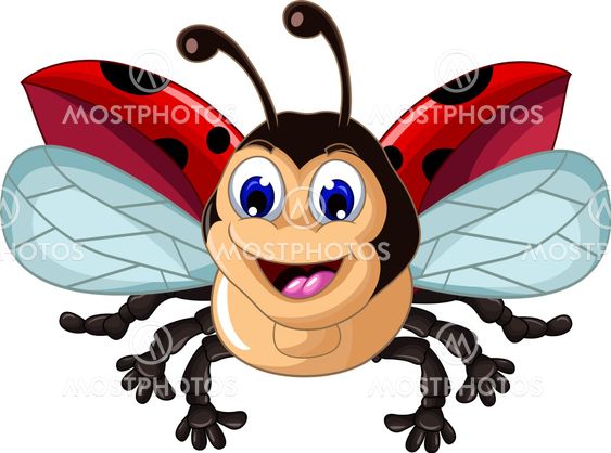 Ladybug cartoon