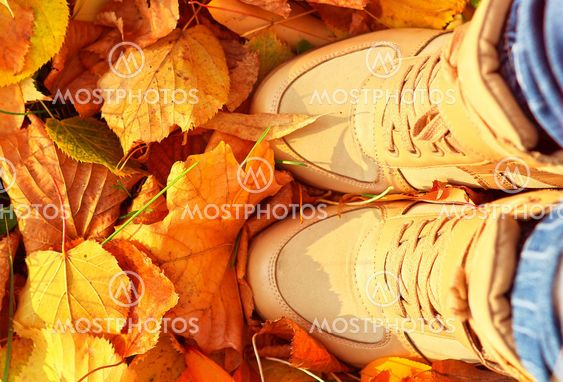 Autumn Background with Fall leaves and woman Shoes Boots Golden Yellow colors seasonal