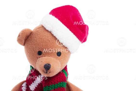 Teddy bear