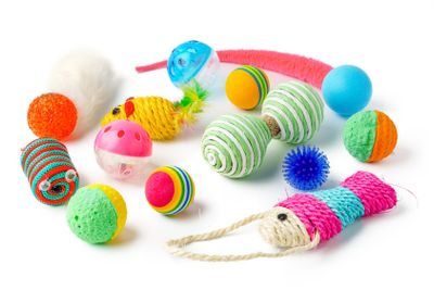 Cat toys isolated on white background studio shot