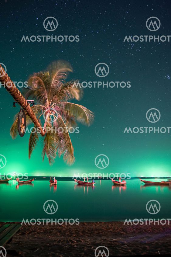 Tropical night