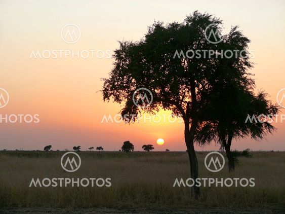 Southwest Sudan. Sunset. Landscape nature.