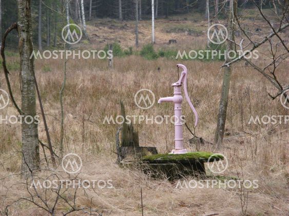 Pink water pump