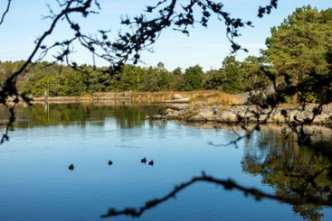 Utsikt från Boön, Karlshamn