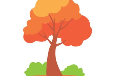 Natural Orange Tree in Forest in Autumn Fall Season