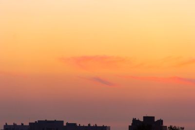 image, photo, plant, bloom, blossom, nature, king, being,...