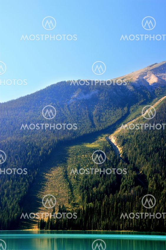 Avalanche path at Emerald Lake, Yoho National Park, Canada