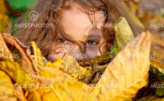Little Girl Playing With Autumn Leaves
