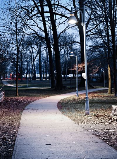 Park path at dusk