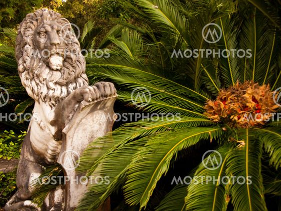 Stone Lion