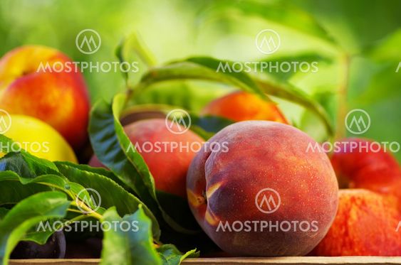 Peach on basket of various fruits